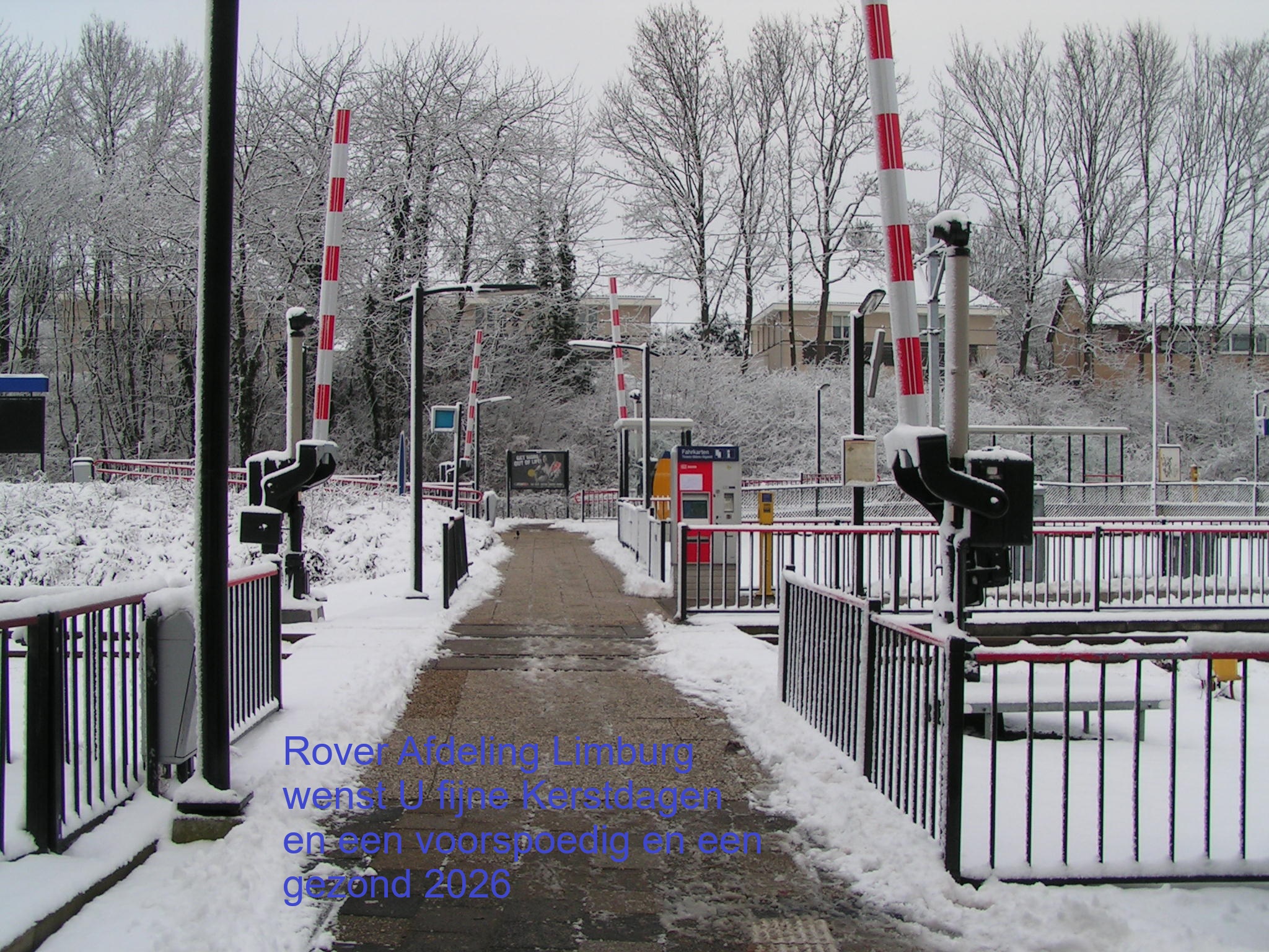 MINOLTA DIGITAL CAMERA