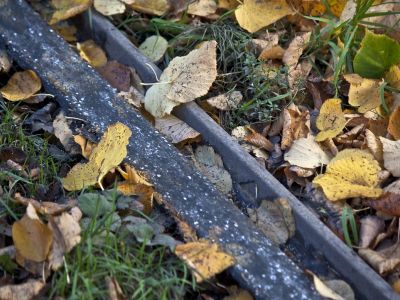 Herfst op het spoor
